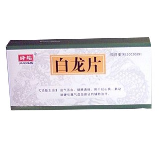 白龙片(碑林)