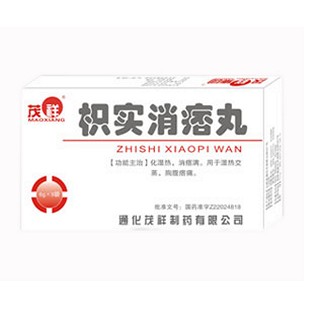 枳实消痞丸(茂祥)