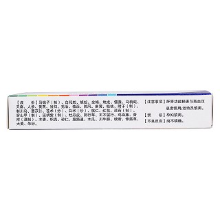 通痹胶囊(0.31g*24s)
