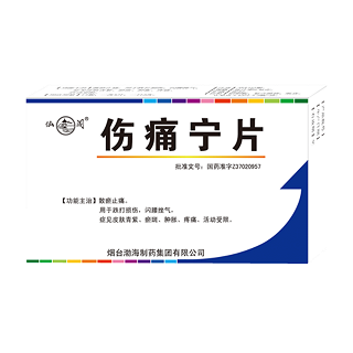 伤痛宁片(渤海)
