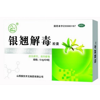 银翘解毒胶囊(振东开元)