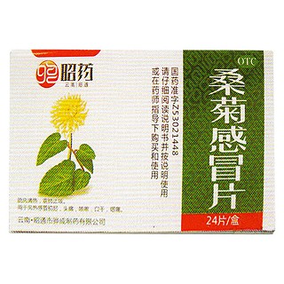 桑菊感冒片(骅成)
