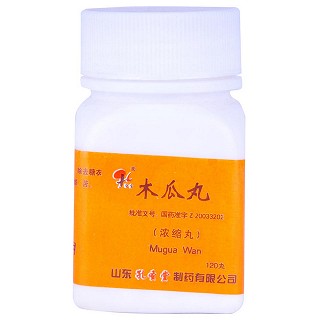 木瓜丸(孔孟)
