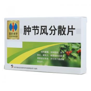 肿节风分散片(修正)