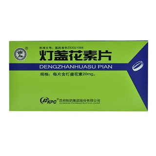 灯盏花素片(制药)