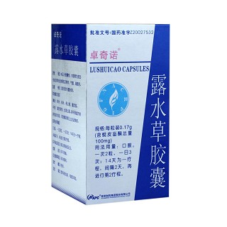 露水草胶囊(制药)