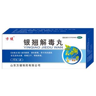 银翘解毒丸(方健)