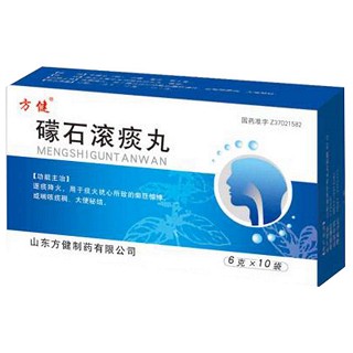 礞石滚痰丸(方健)