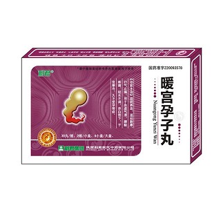 暖宫孕子丸(利君现代)