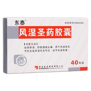 风湿圣药胶囊(东泰)