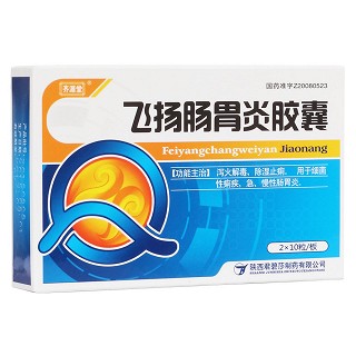 飞扬肠胃炎胶囊(齐源堂)