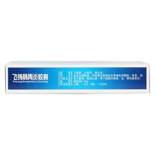 飞扬肠胃炎胶囊(齐源堂)