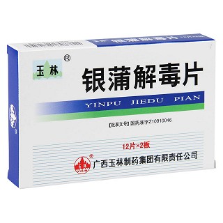 银蒲解毒片(0.35g*12s*2板)