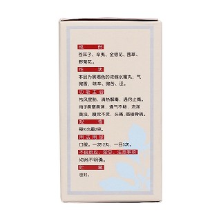 鼻渊丸(太福)