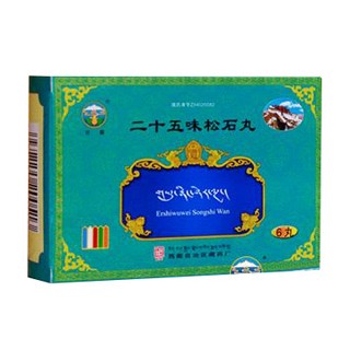 二十五味松石丸
