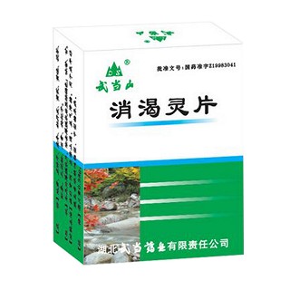 消渴灵片(武当山)