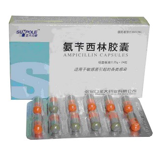 氨苄西林胶囊(圣大)