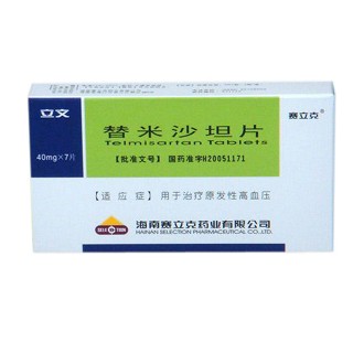 替米沙坦片(立文)