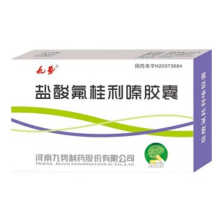 盐酸氟桂利嗪胶囊(九势)
