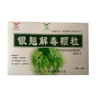 银翘解毒颗粒(仁源)