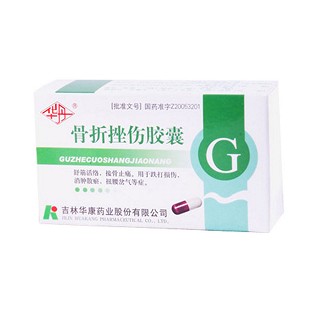 骨折挫伤胶囊(华丹)