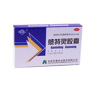 感特灵胶囊(华丹)