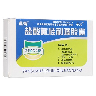 盐酸氟桂利嗪胶囊(平光制药)