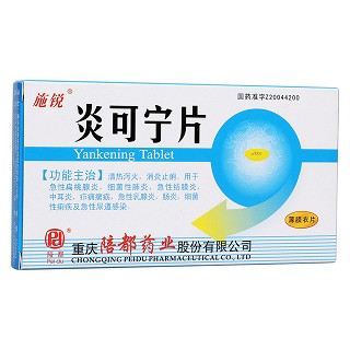 炎可宁片(施锐)