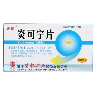 炎可宁片价格