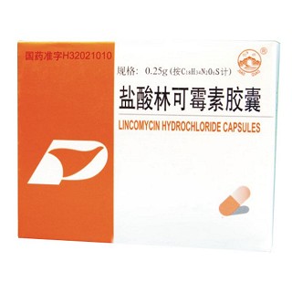 盐酸林可霉素胶囊(鹏鹞)