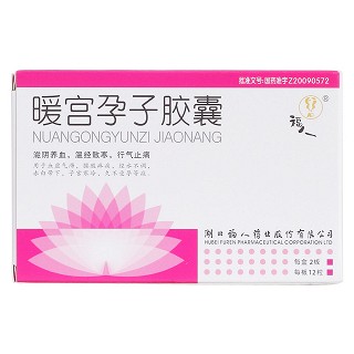 暖宫孕子胶囊价格