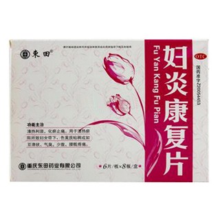 妇炎康复片(东田)