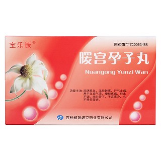 暖宫孕子丸价格