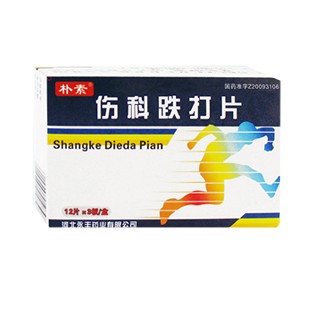 伤科跌打片(朴素)