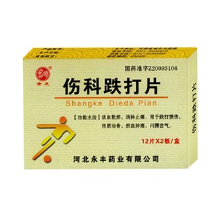 伤科跌打片(朴素)