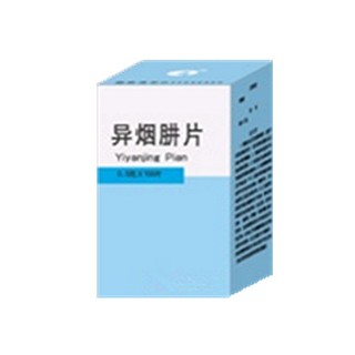 异烟肼片(莫高实业)