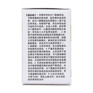 氯霉素片(0.25g*100s)