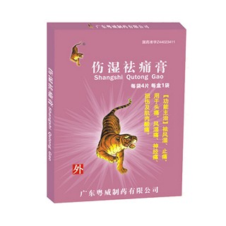 消炎镇痛膏(粤威)