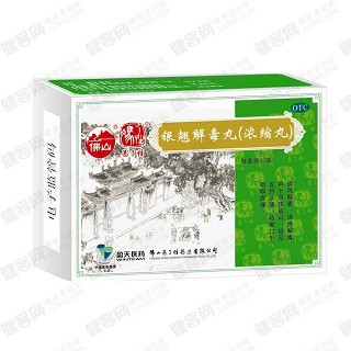 银翘解毒丸(浓缩丸)