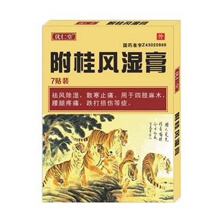 附桂风湿膏(优仁堂)