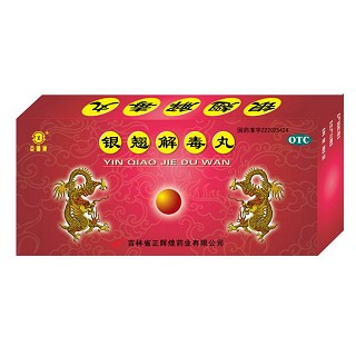 银翘解毒丸(正辉煌)