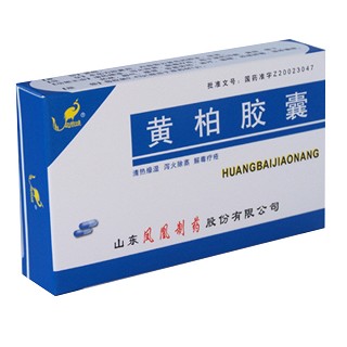 黄柏胶囊(凤凰)