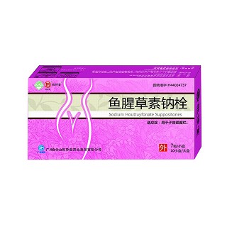 鱼腥草素钠栓(敬修堂)