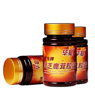坚挺乐乐装价格