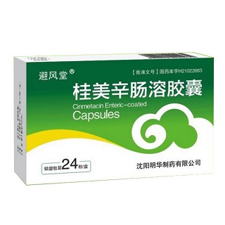 桂美辛肠溶胶囊(避风堂)