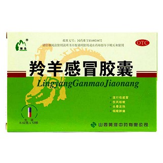 羚羊感冒胶囊(黄河)