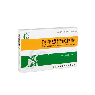 羚羊感冒软胶囊(黄河)