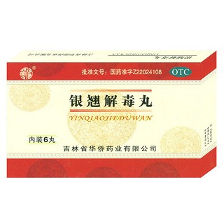 银翘解毒丸(华侨)