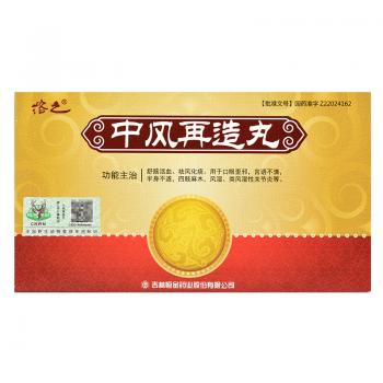 中风再造丸(溶之)