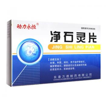 净石灵片(动力永恒)